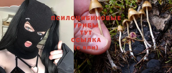 спайс Магадан