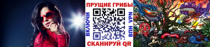 Псилоцибиновые грибы Psilocybe Купить Алексин