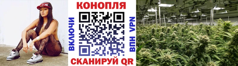 Купить закладки  Алексин  Шишки марихуана тримм 